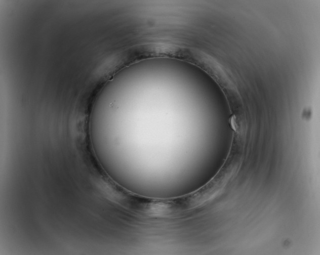 X0000103170462200808221238