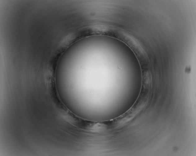 X0000103170463200808221238