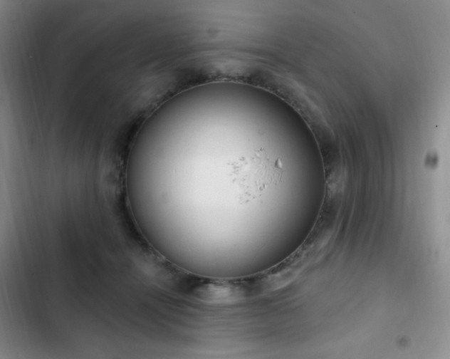 X0000103170464200808221238