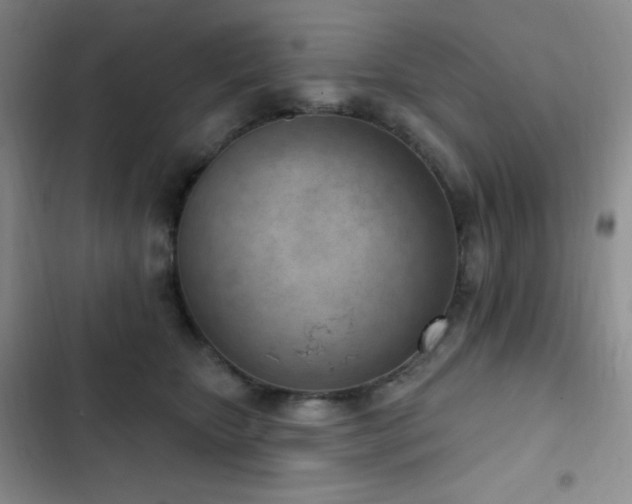 X0000103170467200808221239