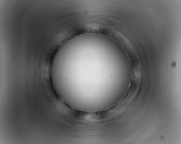 X0000103170468200808221239