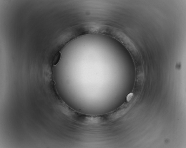 X0000103170469200808221239