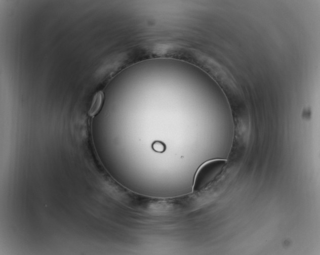 X0000103170470200808221239