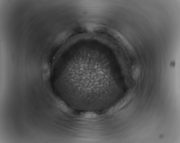 X0000103170471200808221239