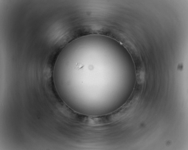 X0000103170472200808221239