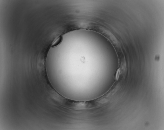 X0000103170473200808221239