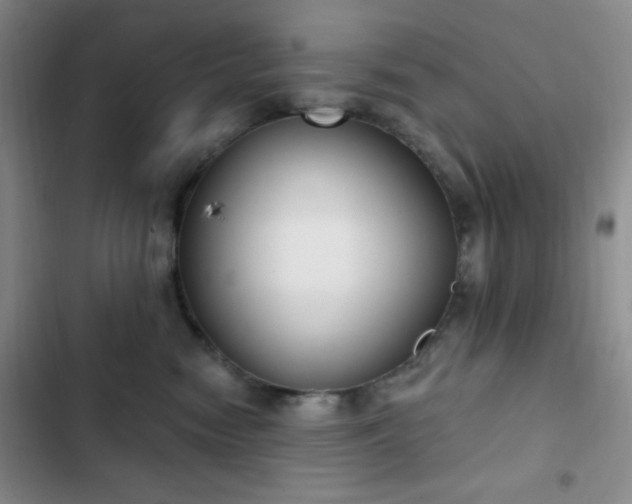 X0000103170474200808221239