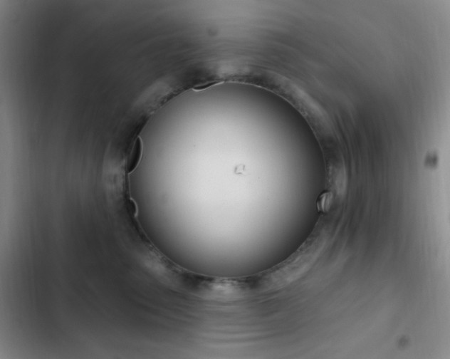 X0000103170475200808221239