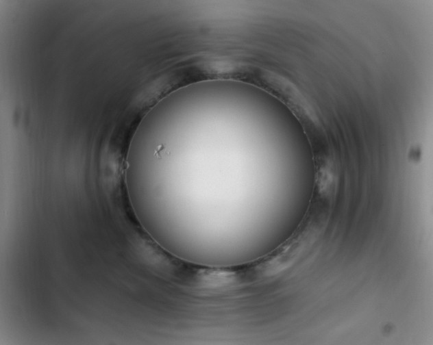 X0000103170476200808221239