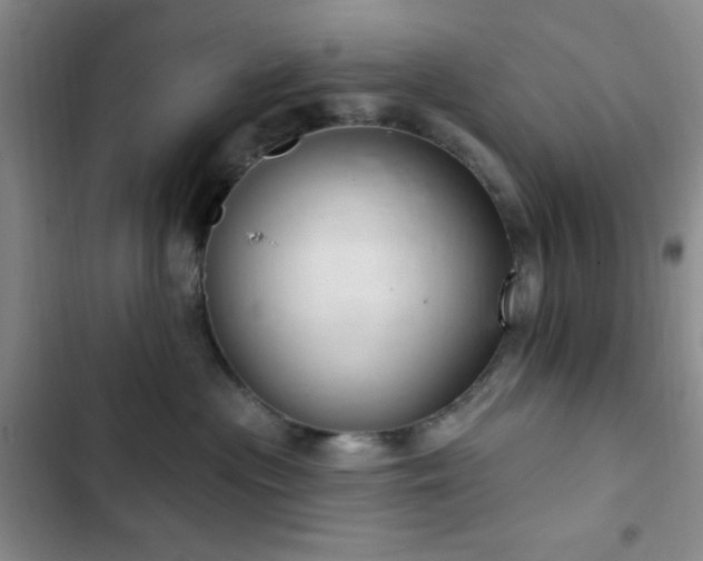 X0000103170477200808221239