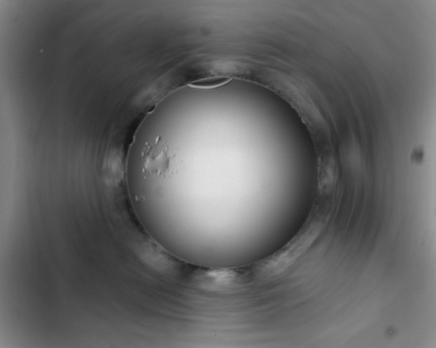 X0000103170478200808221239