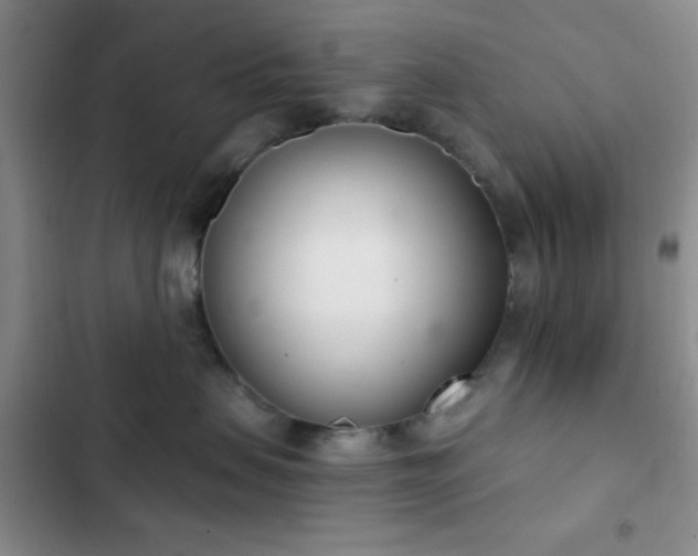 X0000103170479200808221239