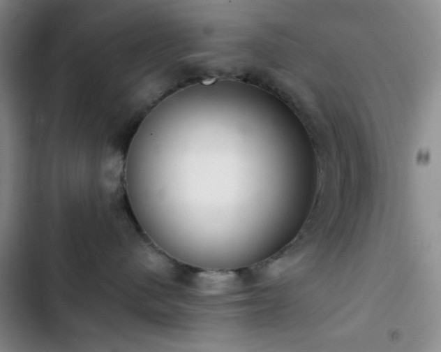 X0000103170480200808221239