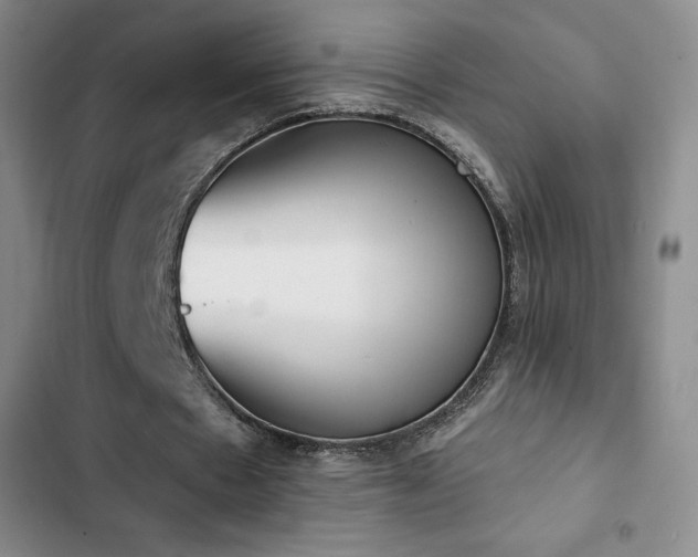 X0000103170481200808221238