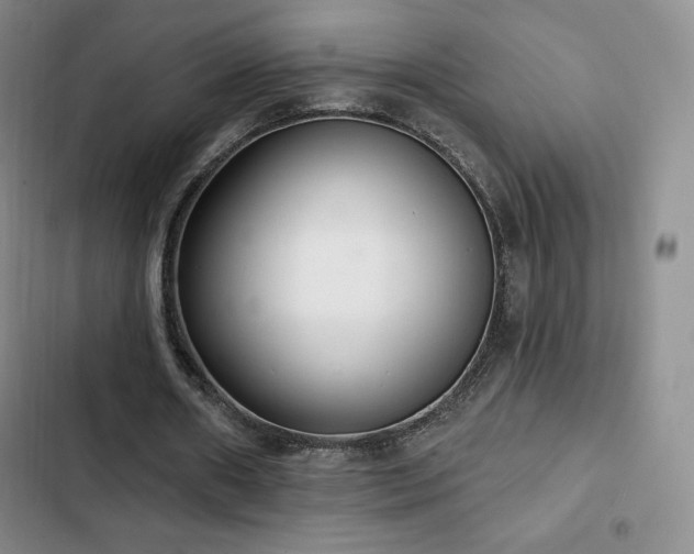 X0000103170482200808221238