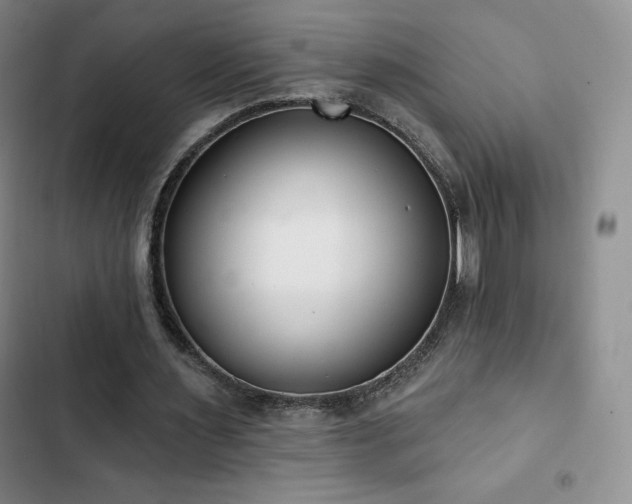 X0000103170483200808221238