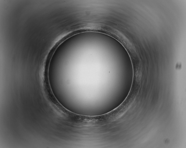 X0000103170484200808221238