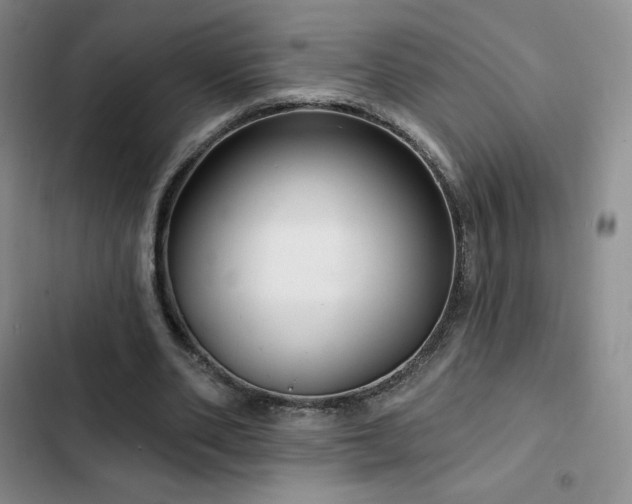 X0000103170486200808221238