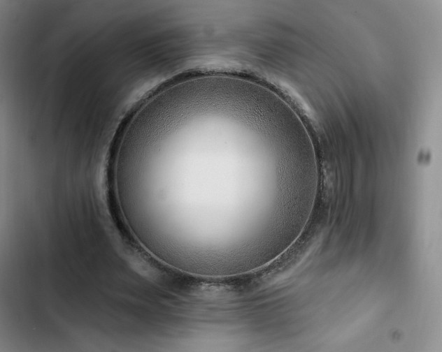 X0000103170487200808221238