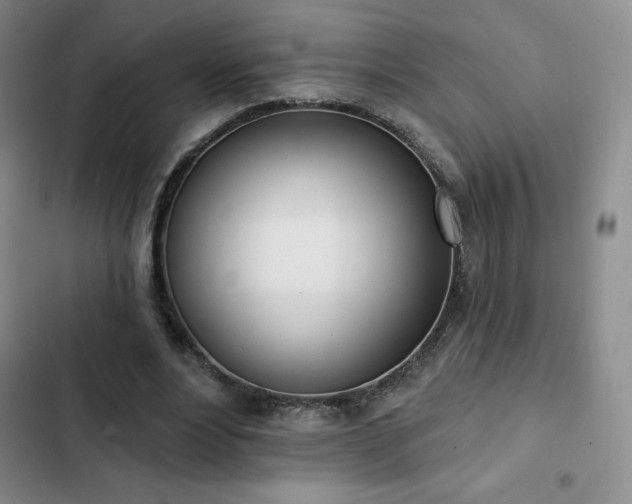 X0000103170488200808221238