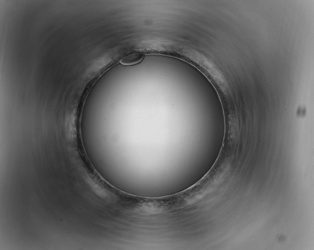 X0000103170489200808221238