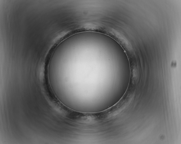 X0000103170492200808221238