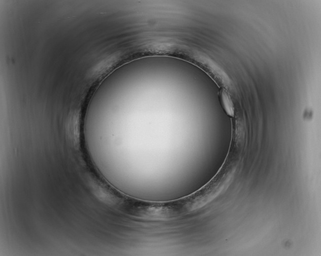 X0000103170493200808221238