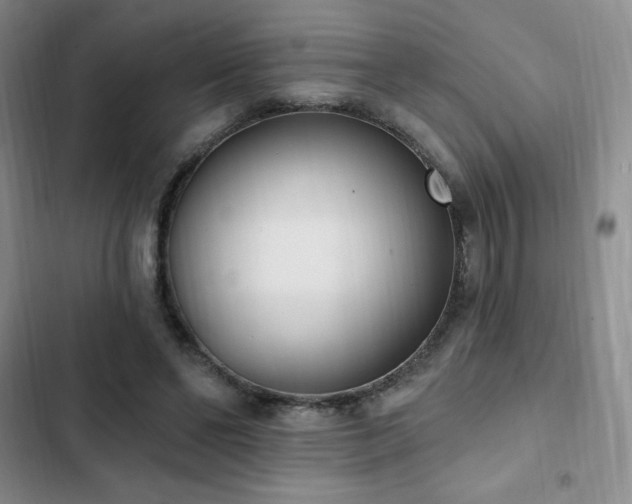 X0000103170494200808221238