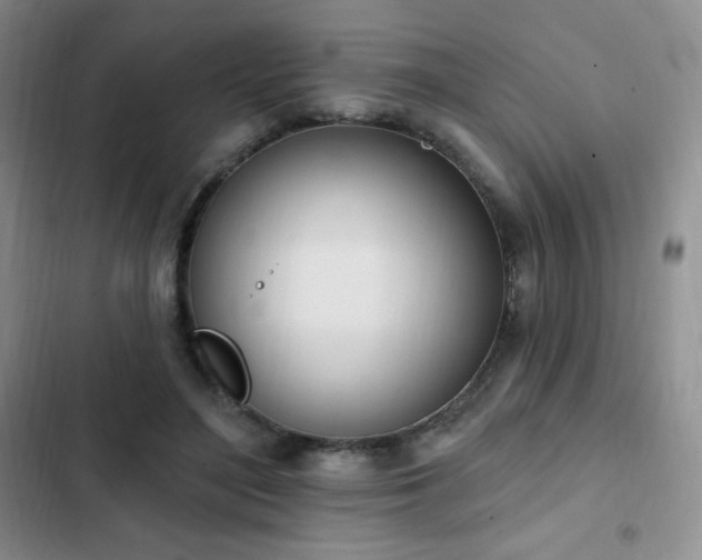 X0000103170500200808221238