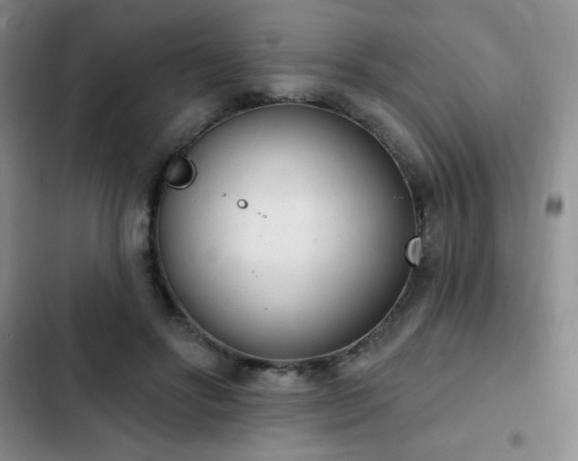 X0000103170502200808221238