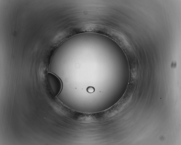 X0000103170503200808221238