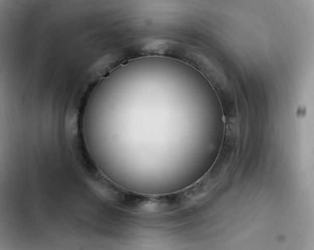 X0000103170504200808221238