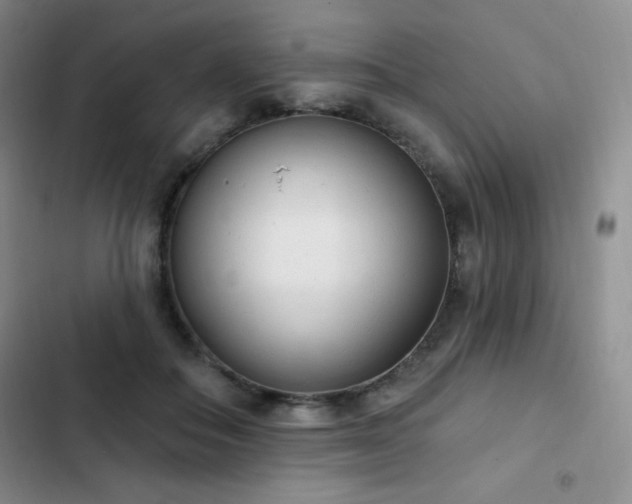 X0000103170506200808221238