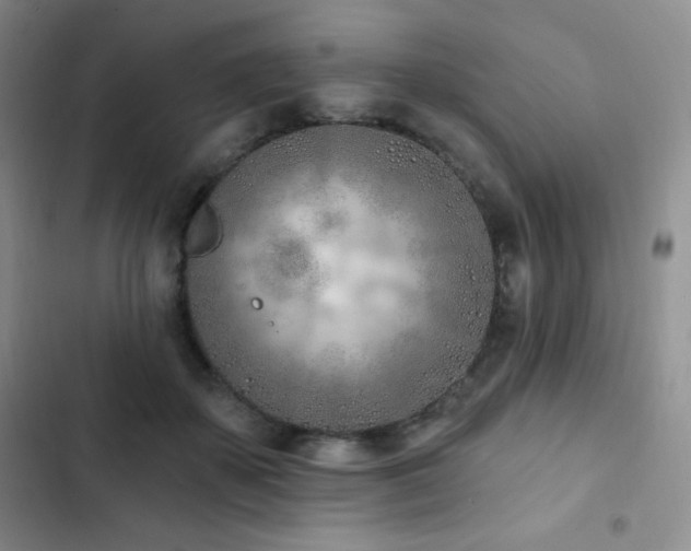 X0000103170507200808221238