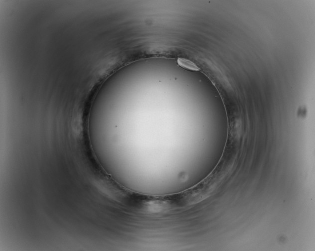 X0000103170508200808221238