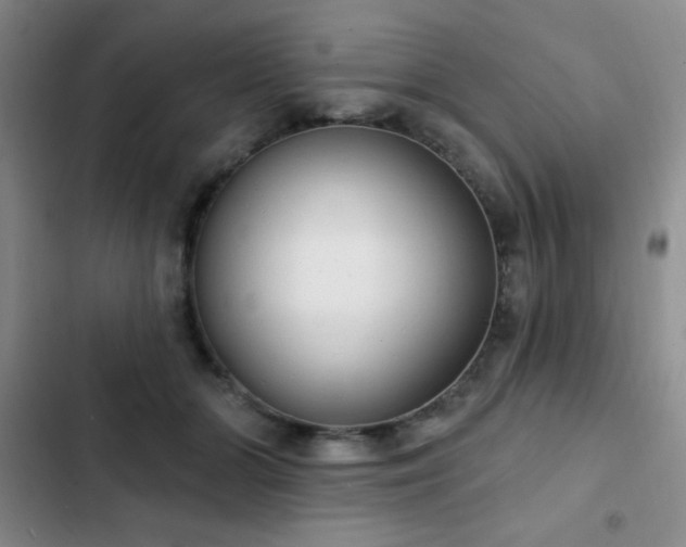 X0000103170510200808221238