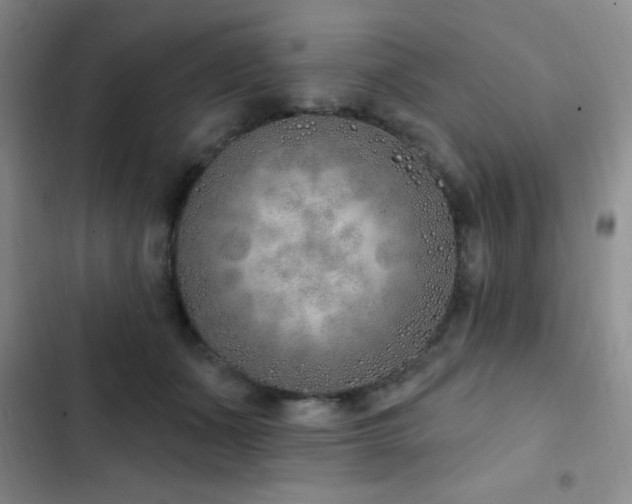 X0000103170511200808221238