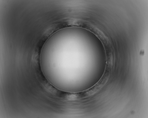 X0000103170513200808221238