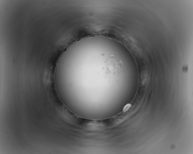 X0000103170515200808221238