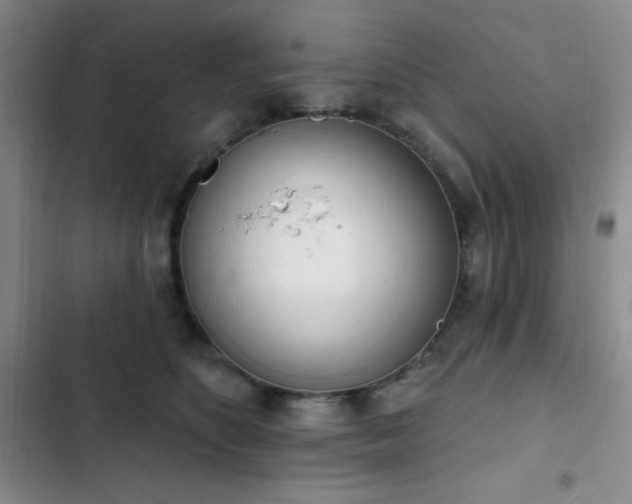 X0000103170516200808221238