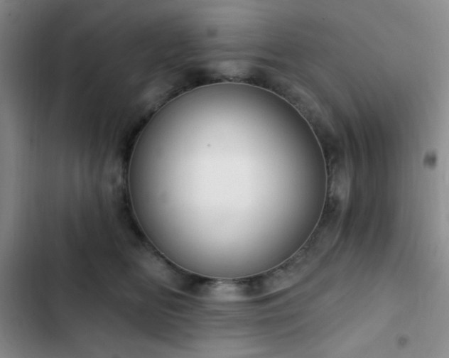 X0000103170518200808221237