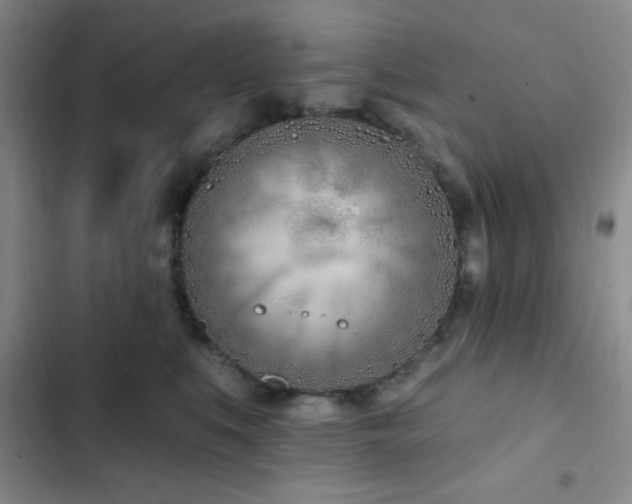 X0000103170519200808221237