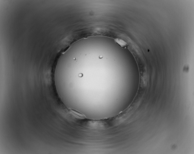 X0000103170520200808221237