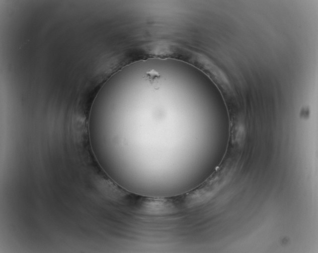 X0000103170521200808221237