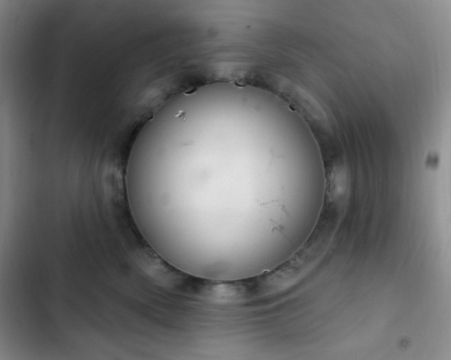 X0000103170522200808221237