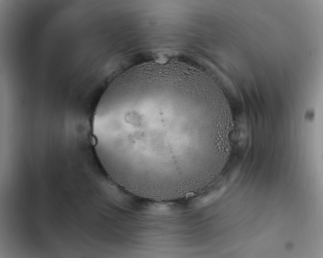 X0000103170523200808221237