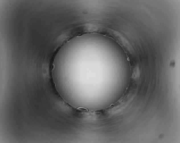 X0000103170524200808221237