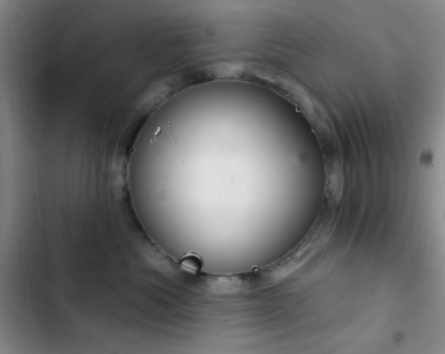 X0000103170525200808221237