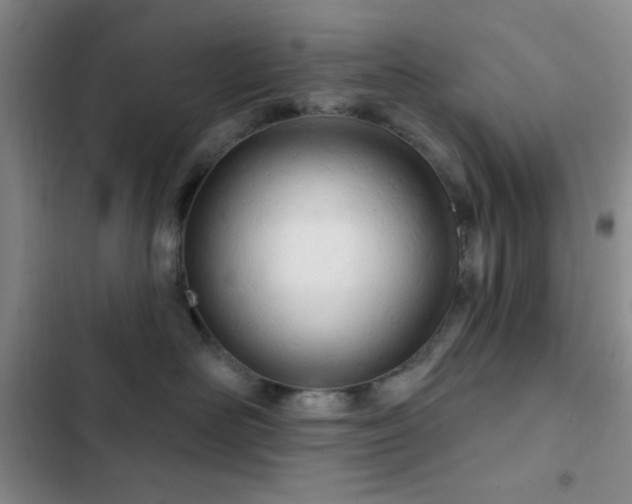 X0000103170526200808221237