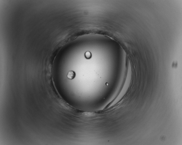 X0000103170528200808221237